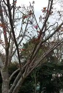 比佐豆知神社(三重県)(2023年04月03日(月) 09時37分32秒投稿)
