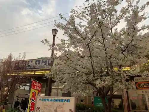 神津神社の自然