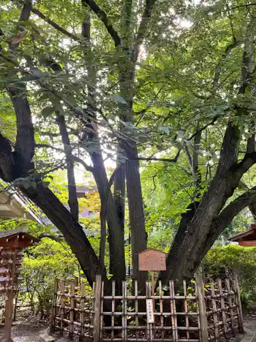 大宮八幡宮の自然