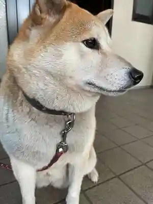 笠䅣稲荷神社(神奈川県)