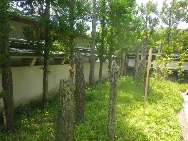 鶴岡八幡宮の自然