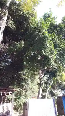 日吉神社(福島県)