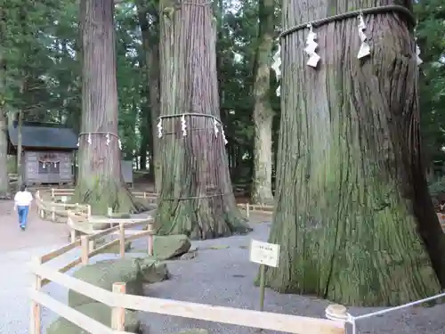 河口浅間神社の庭園