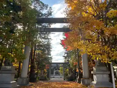 岩見澤神社(北海道)