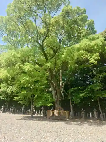 巴江神社(愛知県)