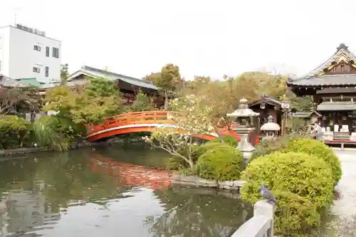 神泉苑の庭園