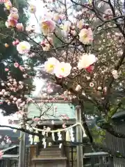 甲斐國一宮 浅間神社の自然