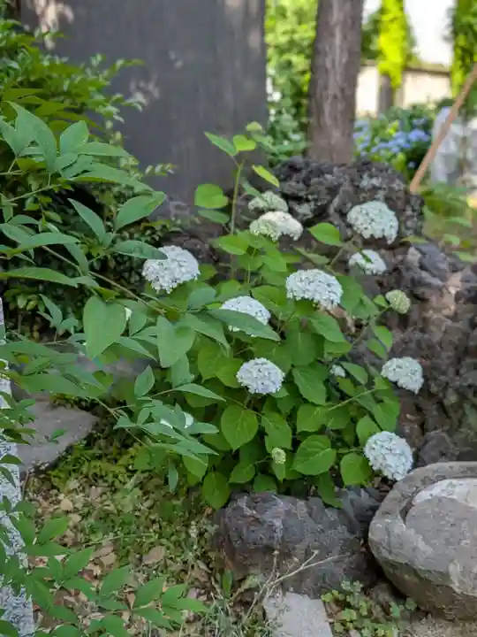 本郷氷川神社(東京都)