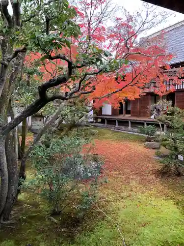 仁和寺の庭園