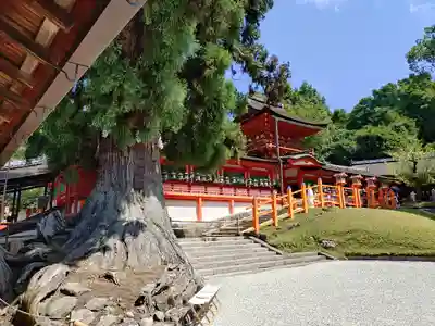 春日大社(奈良県)
