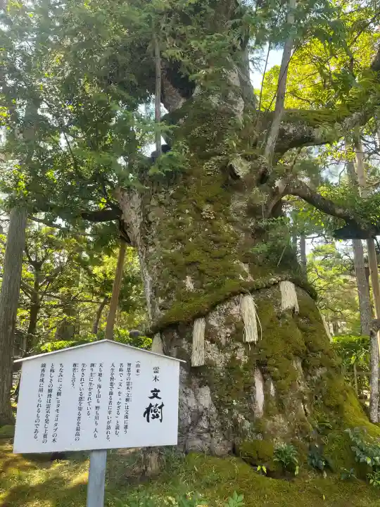 智恩寺(京都府)