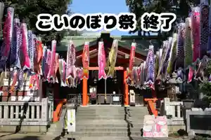 くまくま神社(導きの社 熊野町熊野神社)(東京都)(2025年05月06日(火) 19時02分24秒投稿)