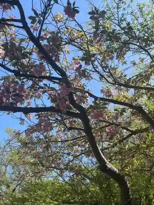 烏帽子山八幡宮(山形県)