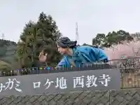 西教寺の{uncategorized: "未分類", other: "その他", undefined: "問題あり", building: "その他建物", grave: "お墓", sacred_gate: "鳥居", guardian: "狛犬", statue: "像", buddha: "仏像", history: "歴史", nature: "自然", garden: "庭園", animal: "動物", pagoda: "塔", temizu: "手水舎", mountain_gate: "山門・神門", sanctuary: "本殿・本堂", subordinate: "末社・摂社", art: "芸術", scenery: "景色", jizo: "地蔵", ema: "絵馬", goshuin: "御朱印", omikuji: "おみくじ", items: "授与品その他", amulet: "お守り", goshuincho: "御朱印帳", eats: "食事", festival: "お祭り", votive_dance: "神楽", shichigosan: "七五三参", wedding: "結婚式", experience: "体験その他", initially: "初詣", around: "周辺", anti_infection: "感染症対策"}