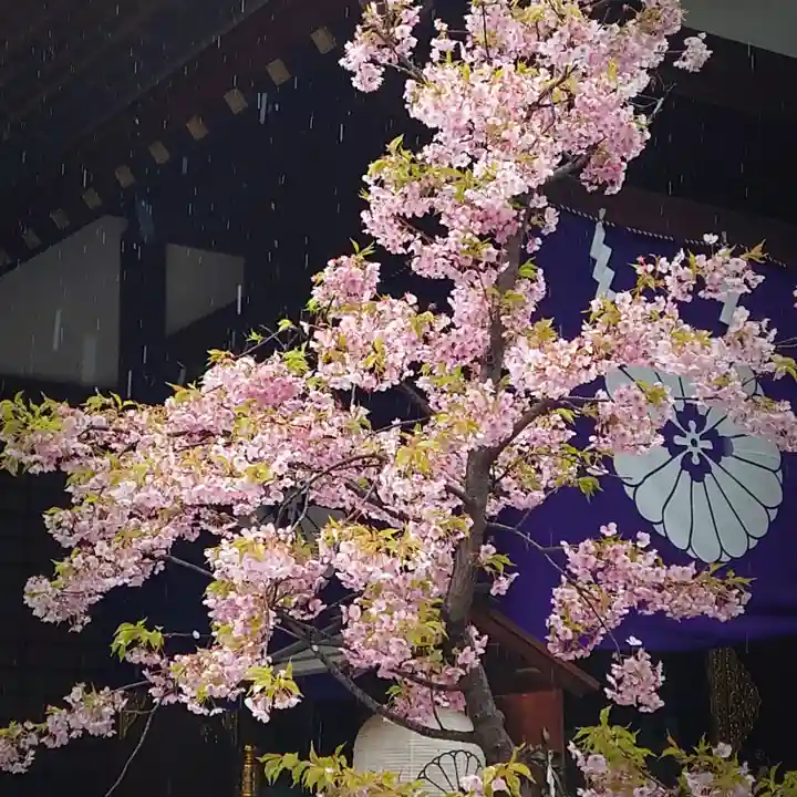 東京大神宮(東京都)