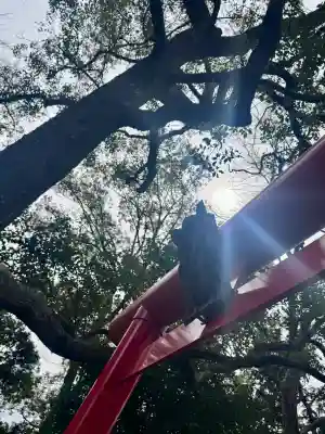 凉森神社の{uncategorized: "未分類", other: "その他", undefined: "問題あり", building: "その他建物", grave: "お墓", sacred_gate: "鳥居", guardian: "狛犬", statue: "像", buddha: "仏像", history: "歴史", nature: "自然", garden: "庭園", animal: "動物", pagoda: "塔", temizu: "手水舎", mountain_gate: "山門・神門", sanctuary: "本殿・本堂", subordinate: "末社・摂社", art: "芸術", scenery: "景色", jizo: "地蔵", ema: "絵馬", goshuin: "御朱印", omikuji: "おみくじ", items: "授与品その他", amulet: "お守り", goshuincho: "御朱印帳", eats: "食事", festival: "お祭り", votive_dance: "神楽", shichigosan: "七五三参", wedding: "結婚式", experience: "体験その他", initially: "初詣", around: "周辺", anti_infection: "感染症対策"}