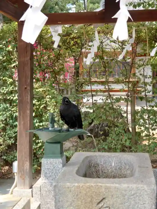 種貸社(住吉大社末社)(大阪府)