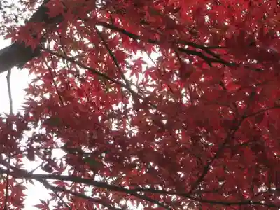 日吉大社(滋賀県)