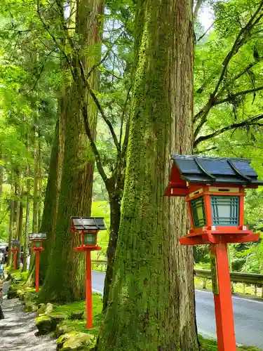 貴船神社(京都府)