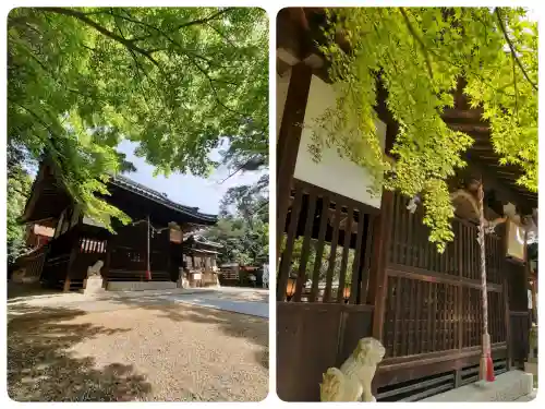交野天神社の{uncategorized: "未分類", other: "その他", undefined: "問題あり", building: "その他建物", grave: "お墓", sacred_gate: "鳥居", guardian: "狛犬", statue: "像", buddha: "仏像", history: "歴史", nature: "自然", garden: "庭園", animal: "動物", pagoda: "塔", temizu: "手水舎", mountain_gate: "山門・神門", sanctuary: "本殿・本堂", subordinate: "末社・摂社", art: "芸術", scenery: "景色", jizo: "地蔵", ema: "絵馬", goshuin: "御朱印", omikuji: "おみくじ", items: "授与品その他", amulet: "お守り", goshuincho: "御朱印帳", eats: "食事", festival: "お祭り", votive_dance: "神楽", shichigosan: "七五三参", wedding: "結婚式", experience: "体験その他", initially: "初詣", around: "周辺", anti_infection: "感染症対策"}