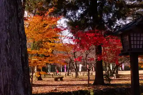 賀茂別雷神社（上賀茂神社）(京都府)