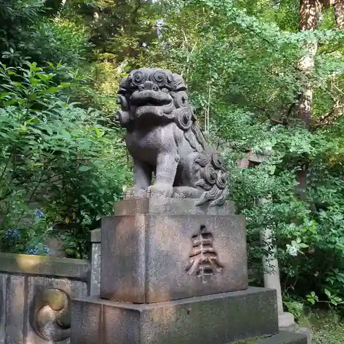 赤坂氷川神社の狛犬