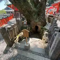 熊野那智大社(和歌山県)