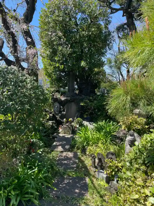 貞源寺の{uncategorized: "未分類", other: "その他", undefined: "問題あり", building: "その他建物", grave: "お墓", sacred_gate: "鳥居", guardian: "狛犬", statue: "像", buddha: "仏像", history: "歴史", nature: "自然", garden: "庭園", animal: "動物", pagoda: "塔", temizu: "手水舎", mountain_gate: "山門・神門", sanctuary: "本殿・本堂", subordinate: "末社・摂社", art: "芸術", scenery: "景色", jizo: "地蔵", ema: "絵馬", goshuin: "御朱印", omikuji: "おみくじ", items: "授与品その他", amulet: "お守り", goshuincho: "御朱印帳", eats: "食事", festival: "お祭り", votive_dance: "神楽", shichigosan: "七五三参", wedding: "結婚式", experience: "体験その他", initially: "初詣", around: "周辺", anti_infection: "感染症対策"}