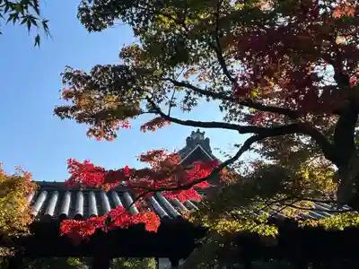 東福禅寺(東福寺)(京都府)