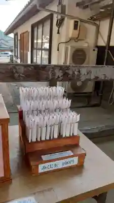 出雲大社北島国造館 出雲教のおみくじ