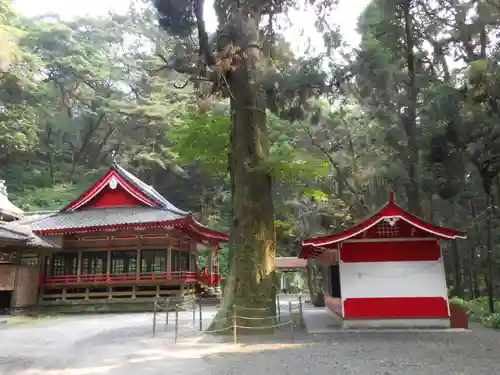 住吉神社の建物その他