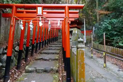 狸谷山不動院の鳥居