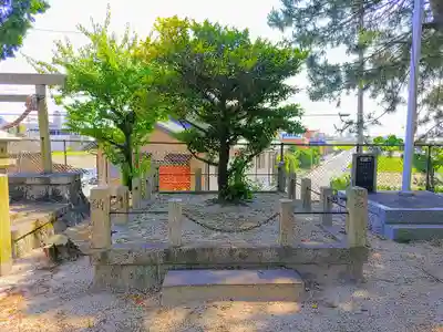 天満神社（鷲塚天満神社）の自然
