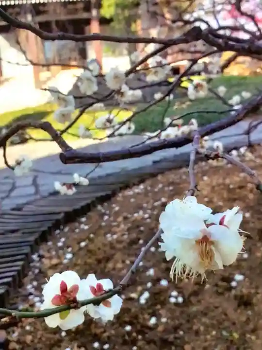 圓照寺(東京都)
