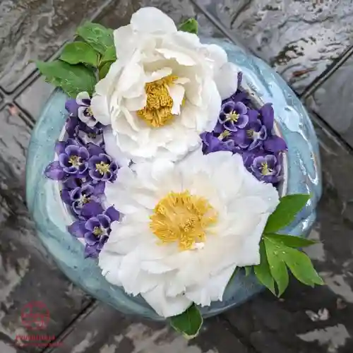 立志神社(滋賀県)