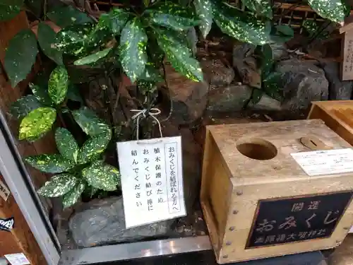 本陣狸大明神社のおみくじ