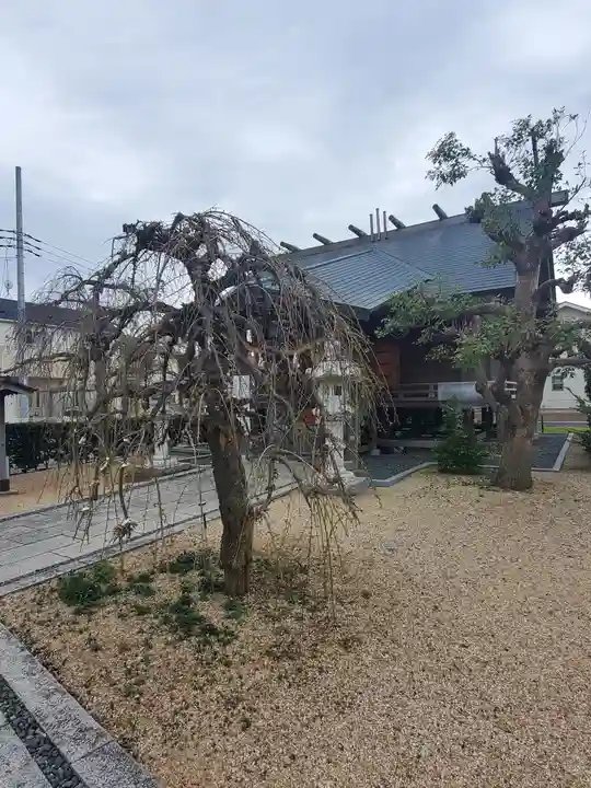 竹生島神社分宮の自然