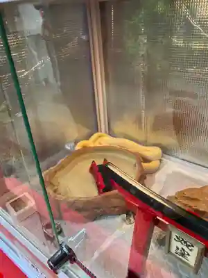 蛇窪神社(東京都)