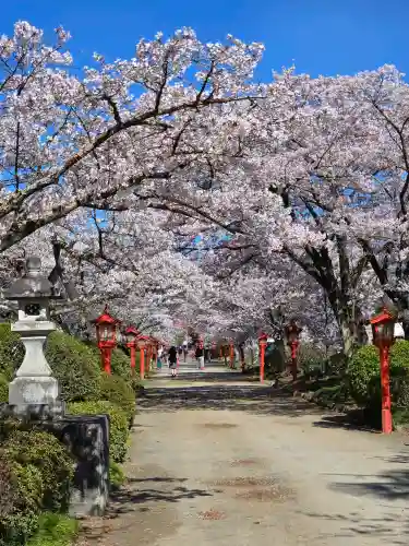 涼ケ岡八幡神社の{uncategorized: "未分類", other: "その他", undefined: "問題あり", building: "その他建物", grave: "お墓", sacred_gate: "鳥居", guardian: "狛犬", statue: "像", buddha: "仏像", history: "歴史", nature: "自然", garden: "庭園", animal: "動物", pagoda: "塔", temizu: "手水舎", mountain_gate: "山門・神門", sanctuary: "本殿・本堂", subordinate: "末社・摂社", art: "芸術", scenery: "景色", jizo: "地蔵", ema: "絵馬", goshuin: "御朱印", omikuji: "おみくじ", items: "授与品その他", amulet: "お守り", goshuincho: "御朱印帳", eats: "食事", festival: "お祭り", votive_dance: "神楽", shichigosan: "七五三参", wedding: "結婚式", experience: "体験その他", initially: "初詣", around: "周辺", anti_infection: "感染症対策"}