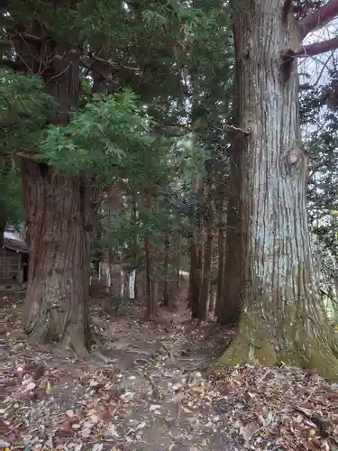 鹿島大神宮(福島県)