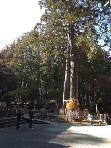 北口本宮冨士浅間神社(山梨県)