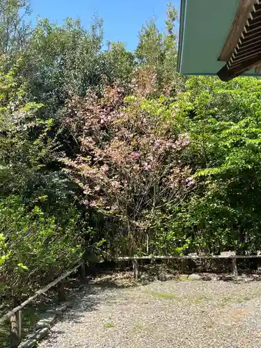 出雲大社上総教会（国吉神社内）(千葉県)