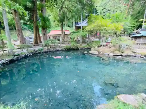 横山不動尊の庭園