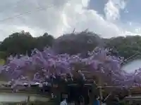 神光寺(徳島県)