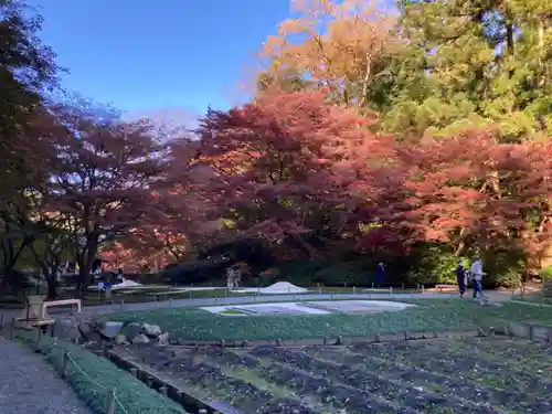 明月院の庭園