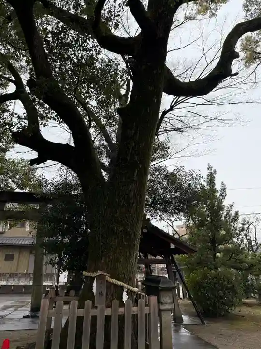 大神神社(花池)(愛知県)