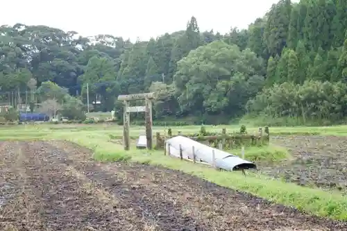 豊玉姫神社の自然