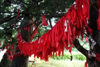 卯子酉神社(岩手県)