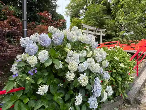 城山八幡宮(愛知県)