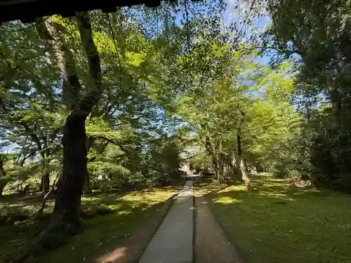 中尊寺(岩手県)